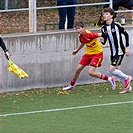 U15: FC Tempo Praha - SK Dynamo České Budějovice 1:3