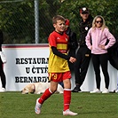 U11: FC Tempo Praha - SK Dynamo České Budějovice