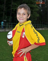 Miroslav Mestek