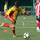FC Tempo Praha - FK Viktoria Žižkov 30:11