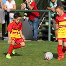 Bohemians Praha 1905 - FC Tempo Praha