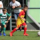 Bohemians Praha 1905 - FC Tempo Praha 