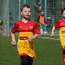 U8: FC Tempo Praha - Bohemians Praha 1905