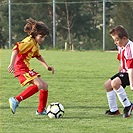 FC Tempo Praha - FK Viktoria Žižkov