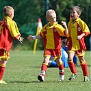 Tempo Cup 2013 pro ročník 2004 a mladší