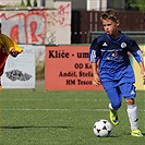 Tempo Cup 2016 pro ročník 2007