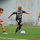 Tempo Cup 2017 pro ročník 2008 a mladší