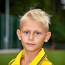 David Vodrážka