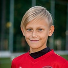 David Vodrážka