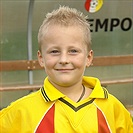 David Martínek