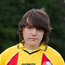 Radek Kodiš